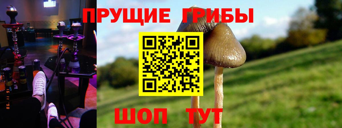 Унеча  Псилоцибиновые грибы ЛСД  Вход с VPN 