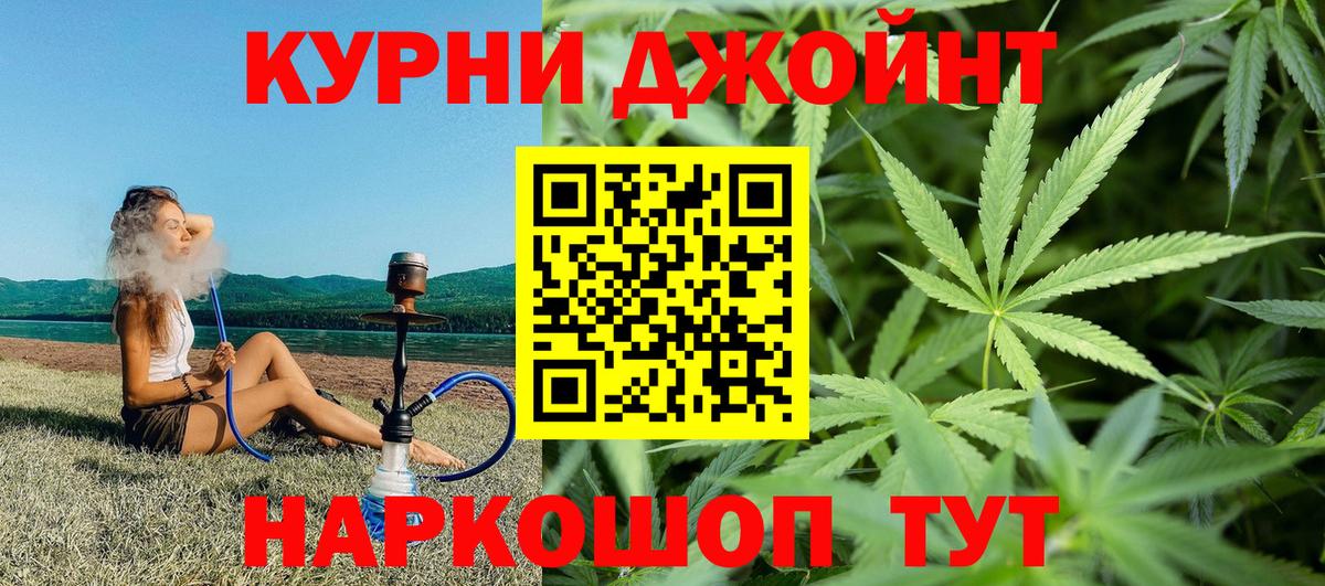 Канабис сатива Унеча